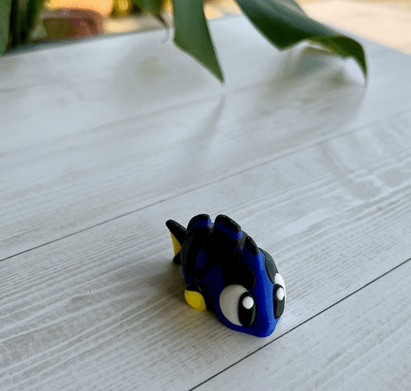 Surgeonfish