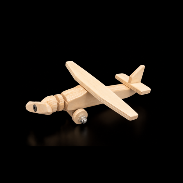 Aeroplane (1)
