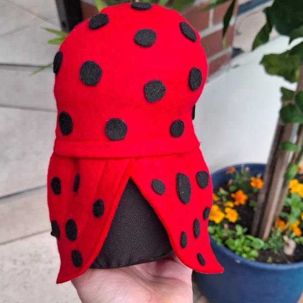 Ladybird Gnome