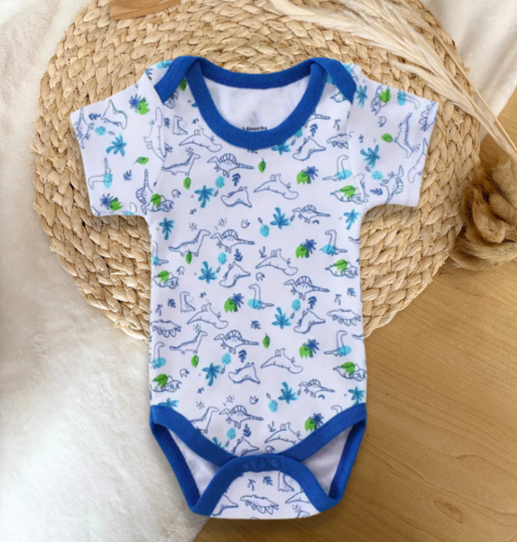 Outline Dinosaur Onesie