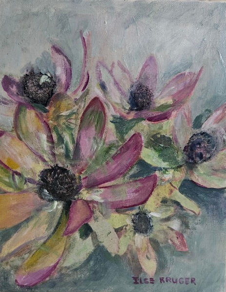 315. Leucadendron (25 x 20cm)