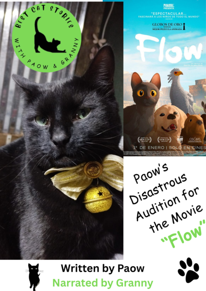 Paow's Disastrous Audition for the Movie: "Flow"