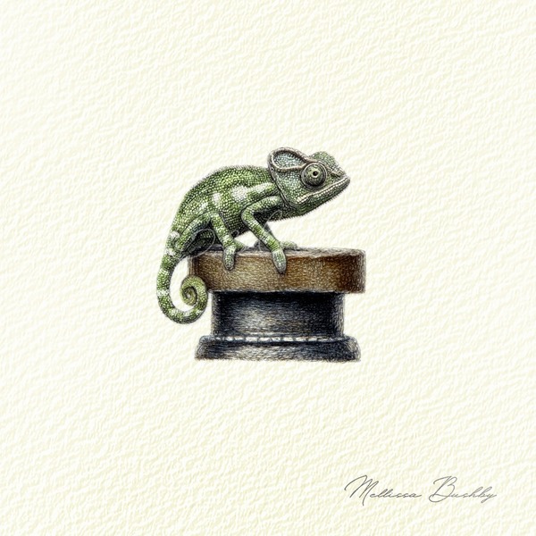Inkpot Chameleon | Collected Curiosities Art Print