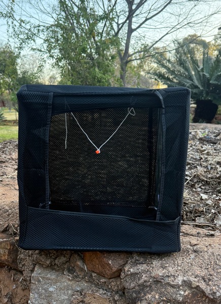 Collapsible Catch Box