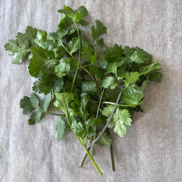 Coriander (100g)