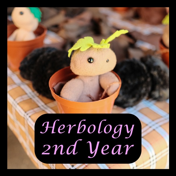Herbology Class - Second Year