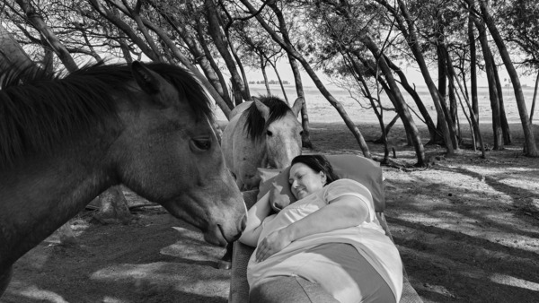 Equine Assisted Therapy