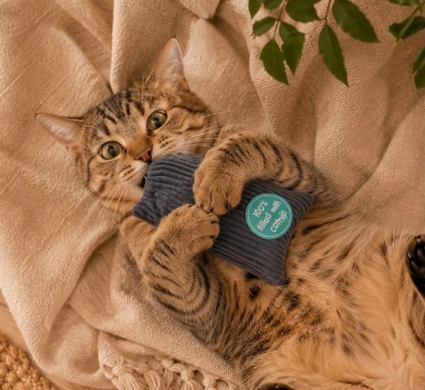 Feline Flair Catnip kicker toy - pouch