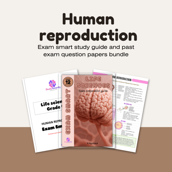 Exam Smart: Grade 12 Human Reproduction Study Guide
