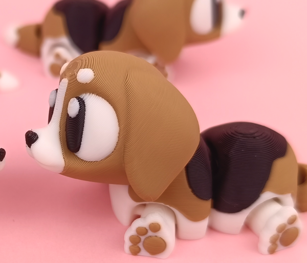 Beagle