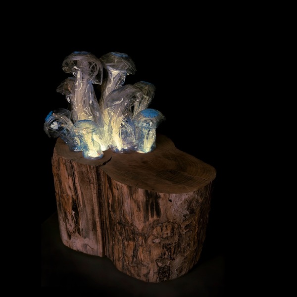 Mycoremediation X - Light sculpture