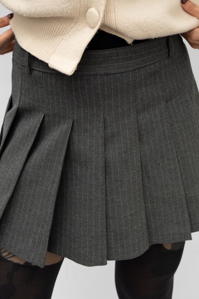 Pleated Skirt