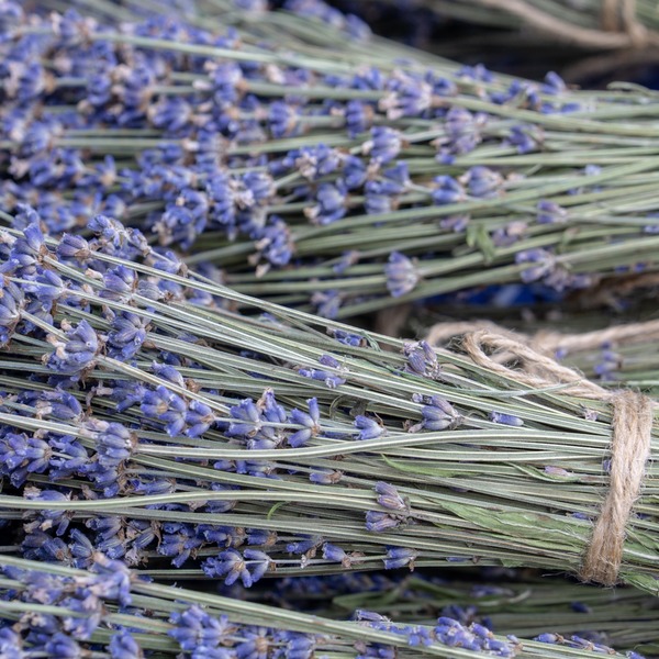 Dried Lavender Bundle