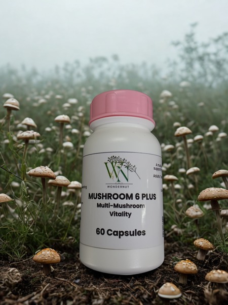 Mushroom 6 Plus
