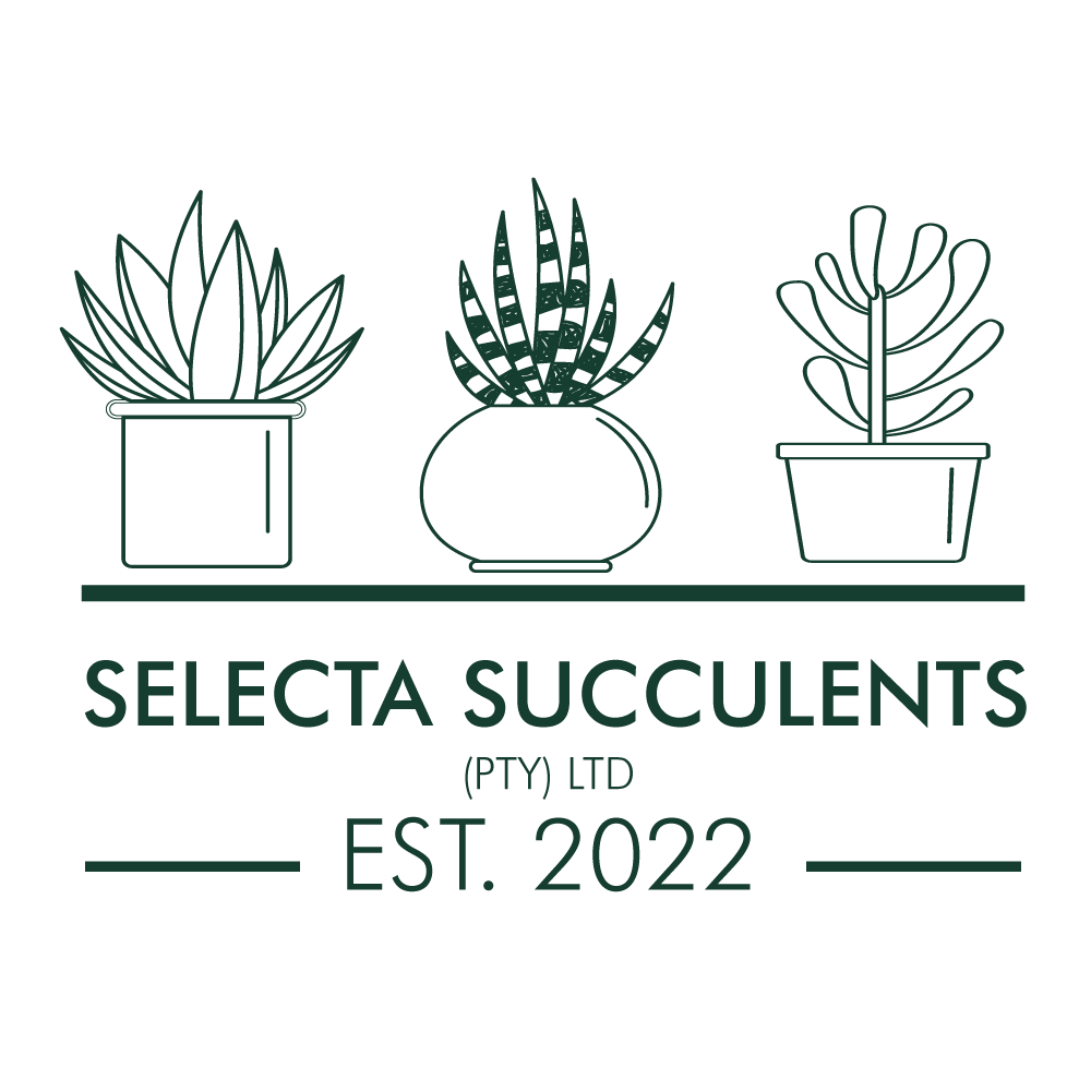 Selecta Succulents